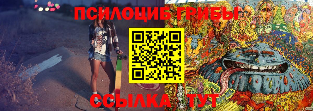 Сокол  что такое наркотик  Вход с VPN  Псилоцибиновые грибы MAGIC MUSHROOMS  Галлюциногенные грибы MAGIC MUSHROOMS 