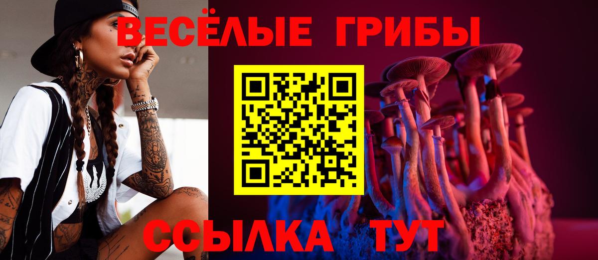 Галлюциногенные грибы Magic Shrooms Сокол